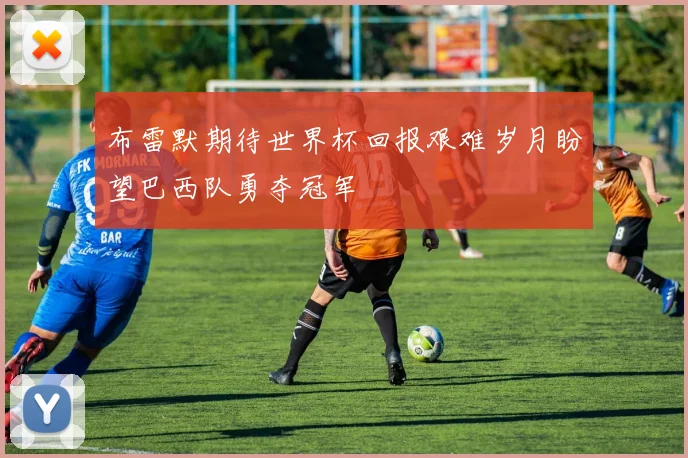 布雷默期待世界杯回报艰难岁月盼望巴西队勇夺冠军