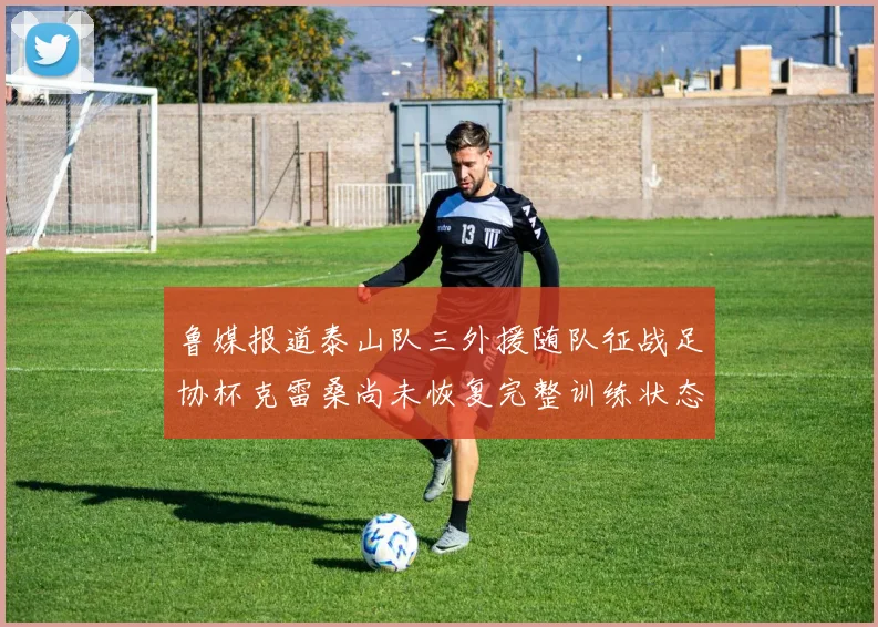 鲁媒报道泰山队三外援随队征战足协杯克雷桑尚未恢复完整训练状态